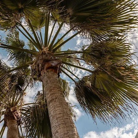 Hondartza קורלחו